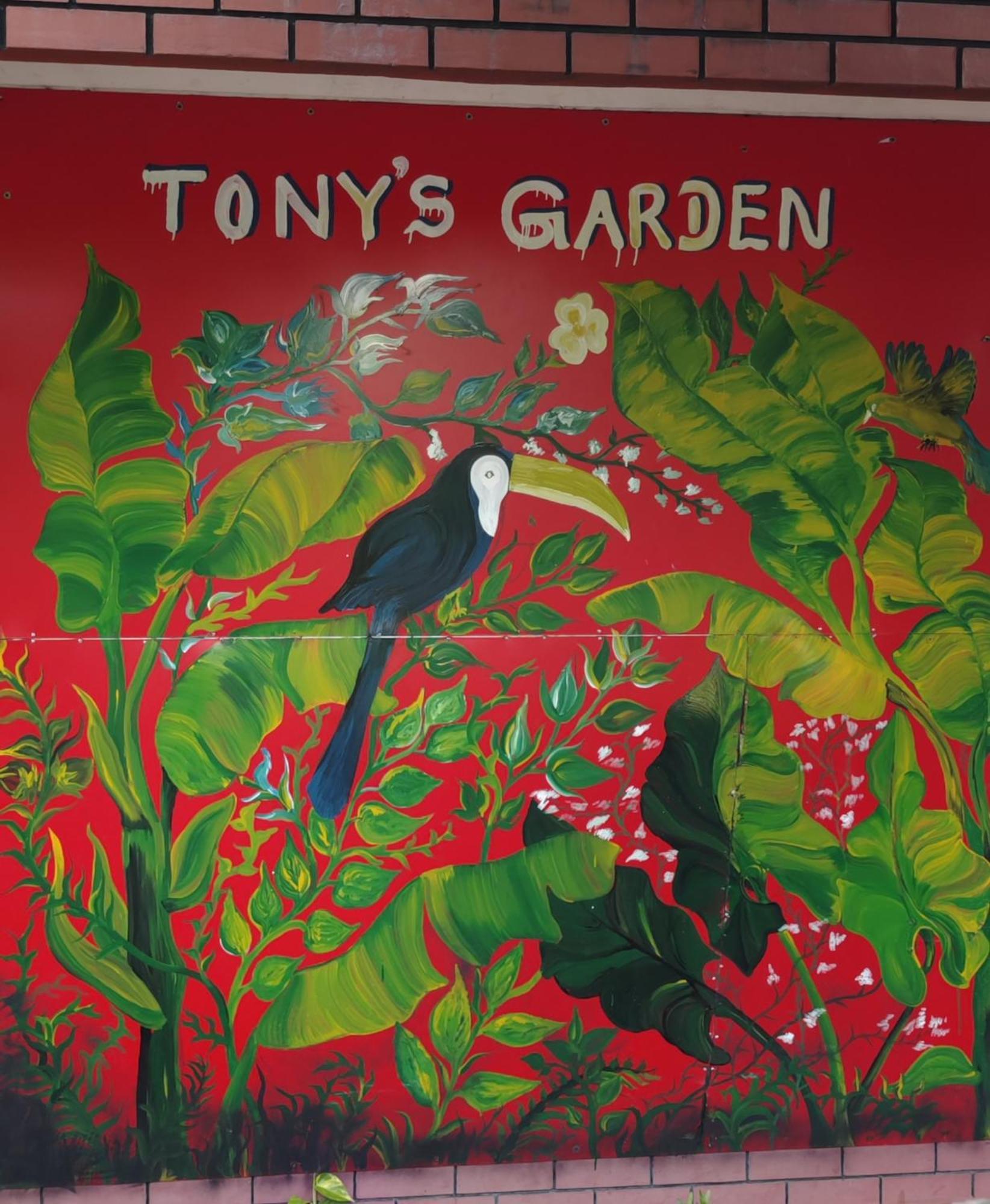 Tony'S Garden House Back Packers Inn Jaffna Eksteriør bilde